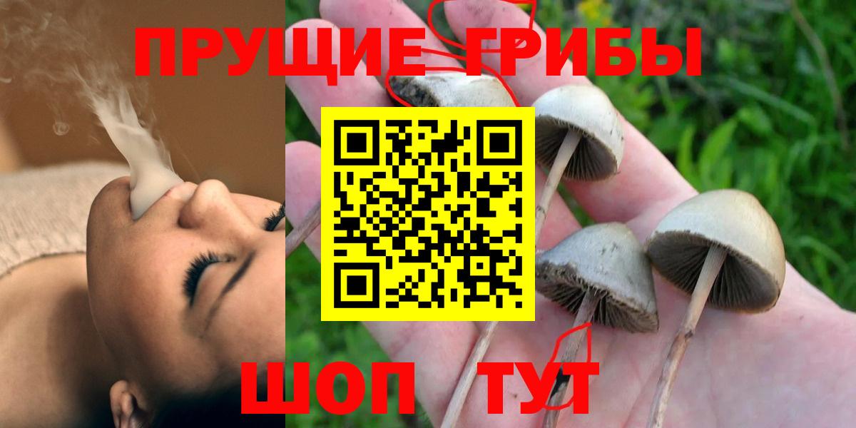 Черняховск  Галлюциногенные грибы Magic Shrooms  даркнет сайт  Вход с VPN 