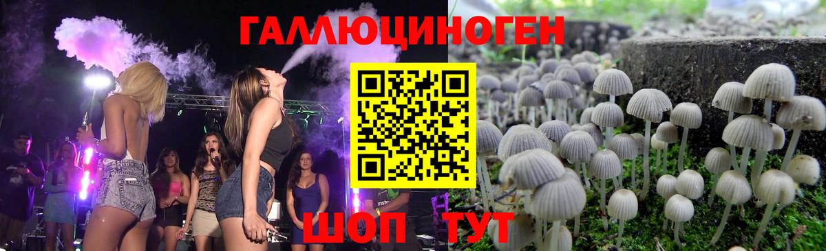 Псилоцибиновые грибы Psilocybine cubensis Черняховск